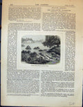 Original Old Antique Print Broken Rocky Margin Artificial Water Garden 1878