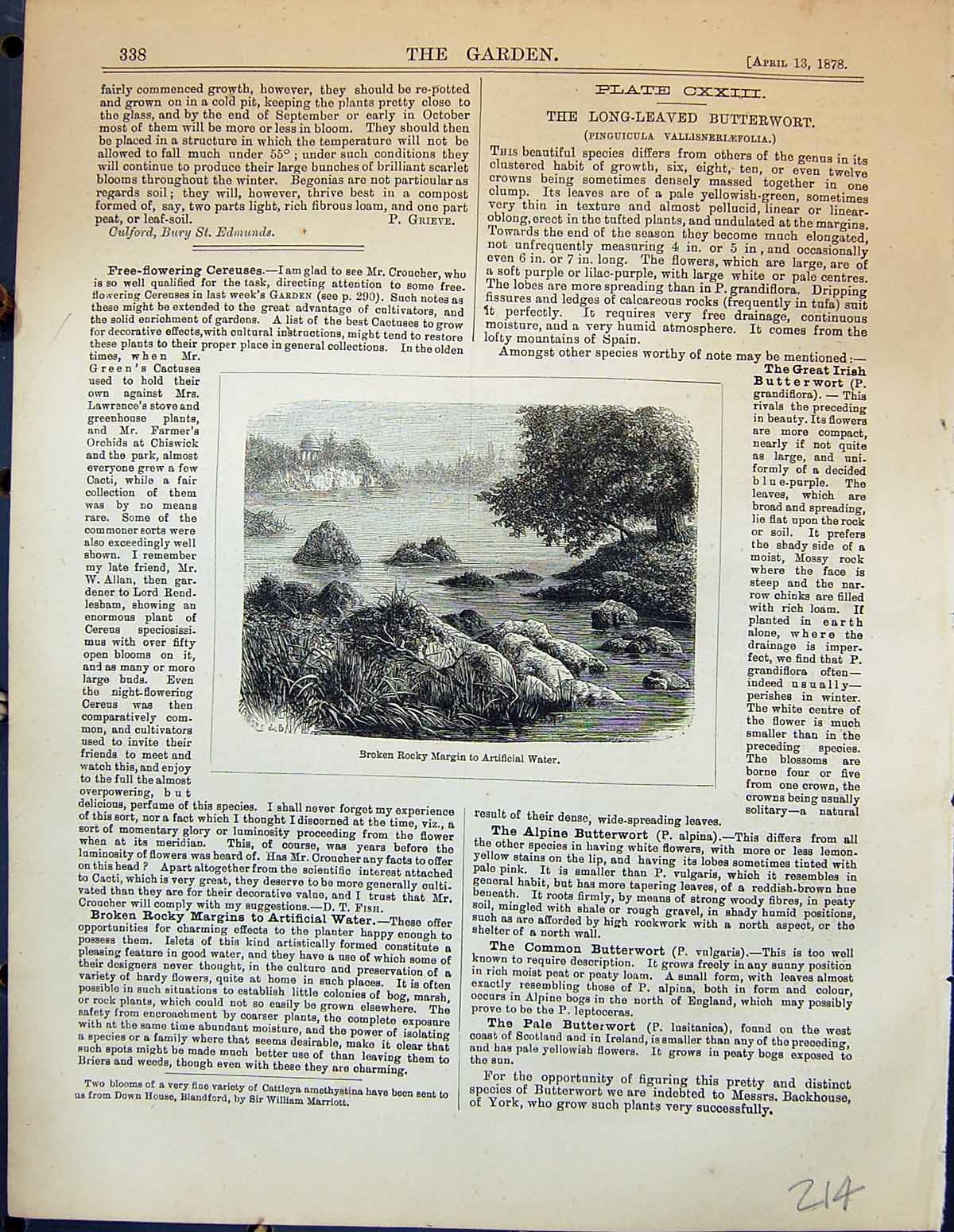 Original Old Antique Print Broken Rocky Margin Artificial Water Garden 1878