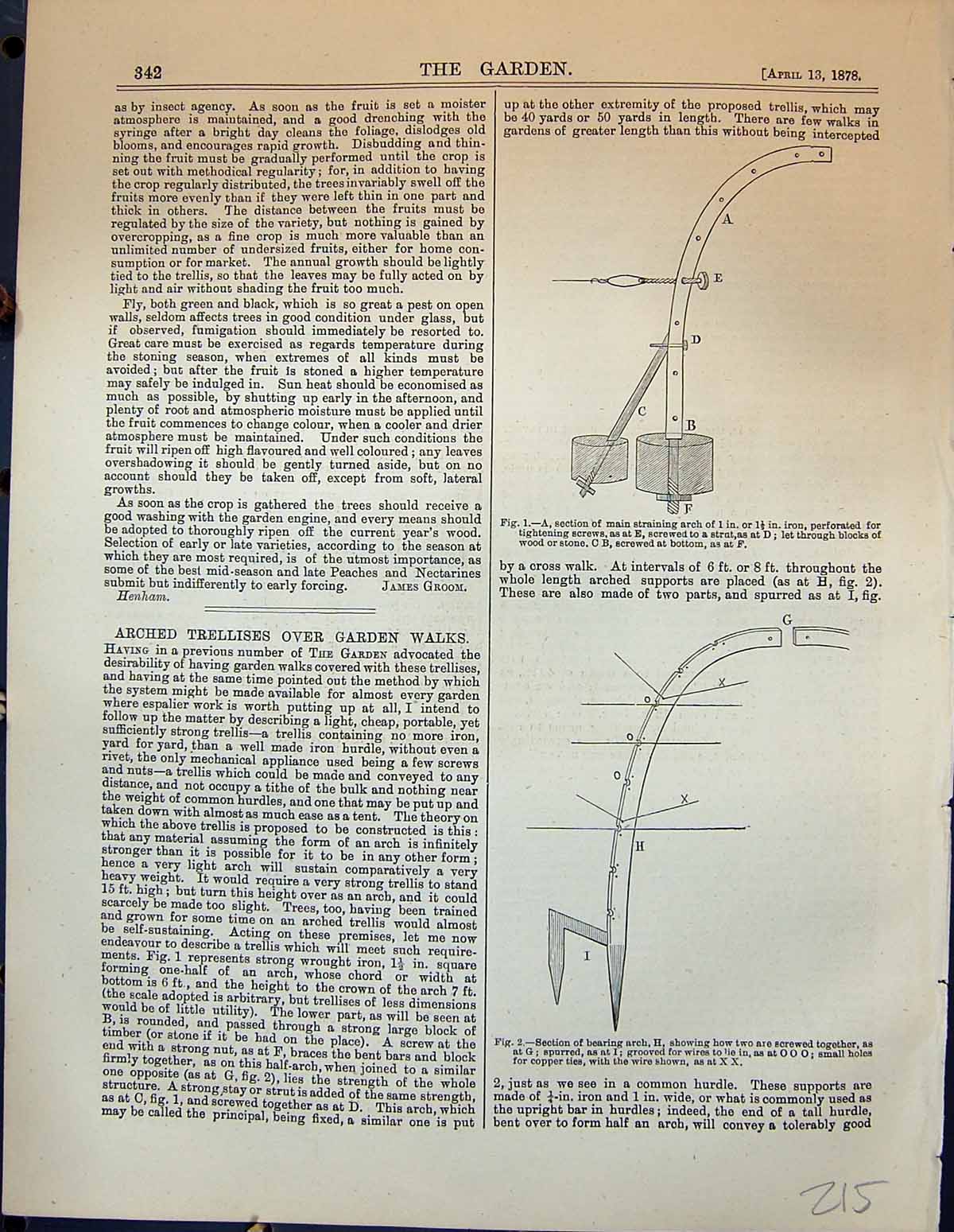 Original Old Antique Print Arched Trellises Garden Walks 1878 19th