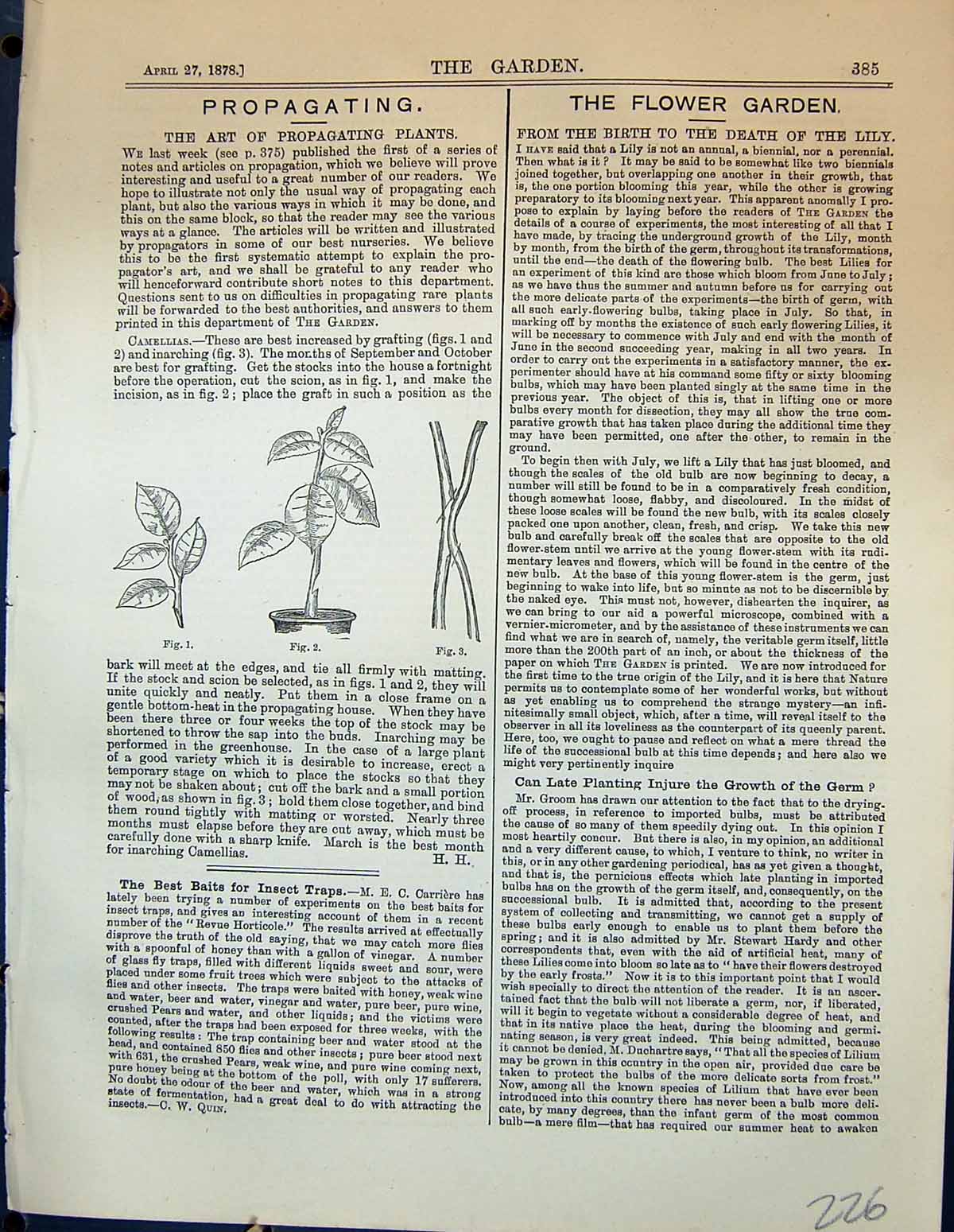 Original Old Antique Print Garden 1878 Art Propagating Plants 19th