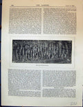 Original Old Antique Print Oak Fence Worcestershire Plants Garden 1878 19th