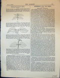 Original Old Antique Print Propagating Fuchsias Plants Leaves Garden 1878 19th