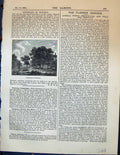 Original Old Antique Print Landscape Hobbema Trees Nature Garden 1878 Victorian