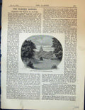 Original Old Antique Print English Part Luxembourg Garden 1878 Plants Trees