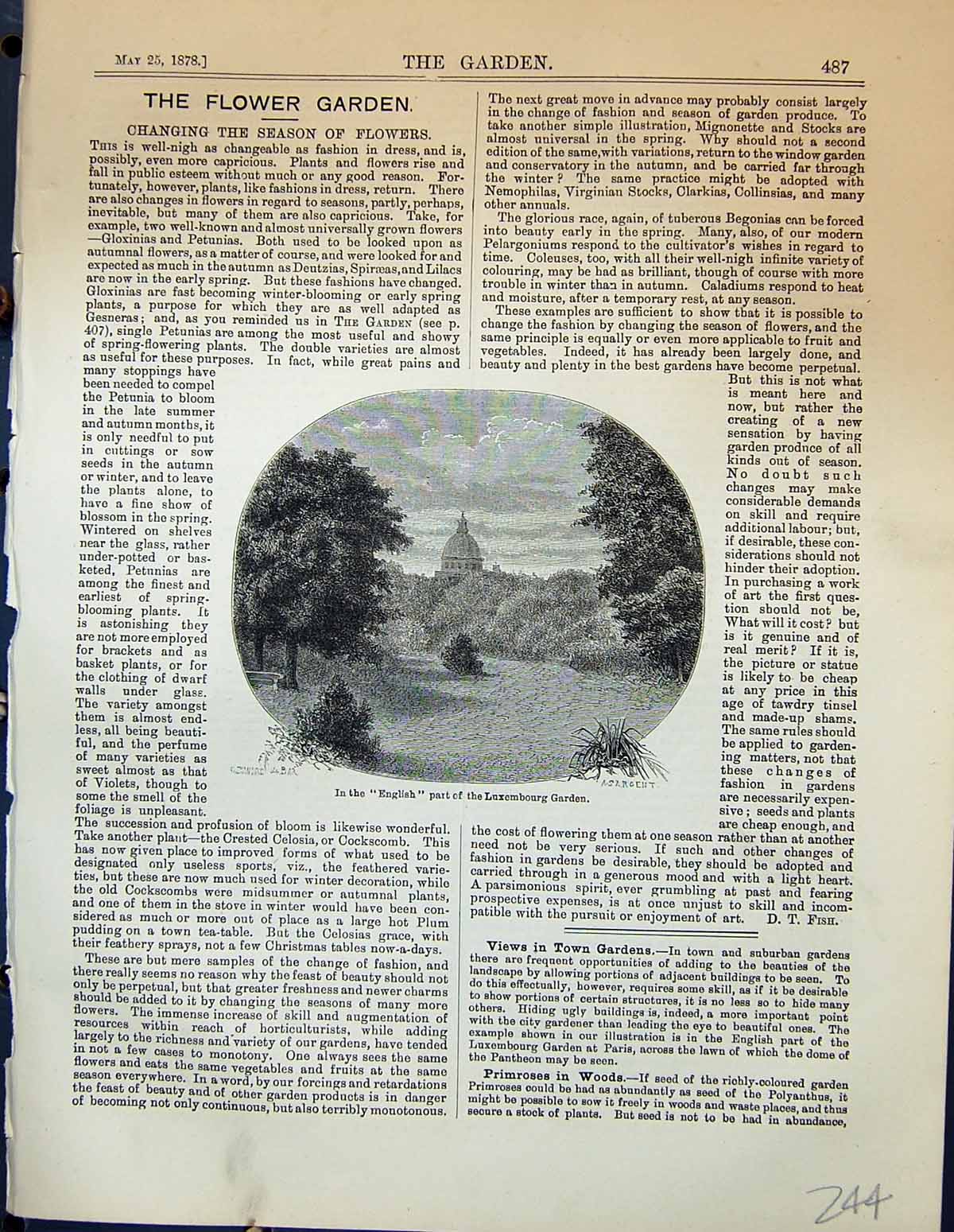 Original Old Antique Print English Part Luxembourg Garden 1878 Plants Trees