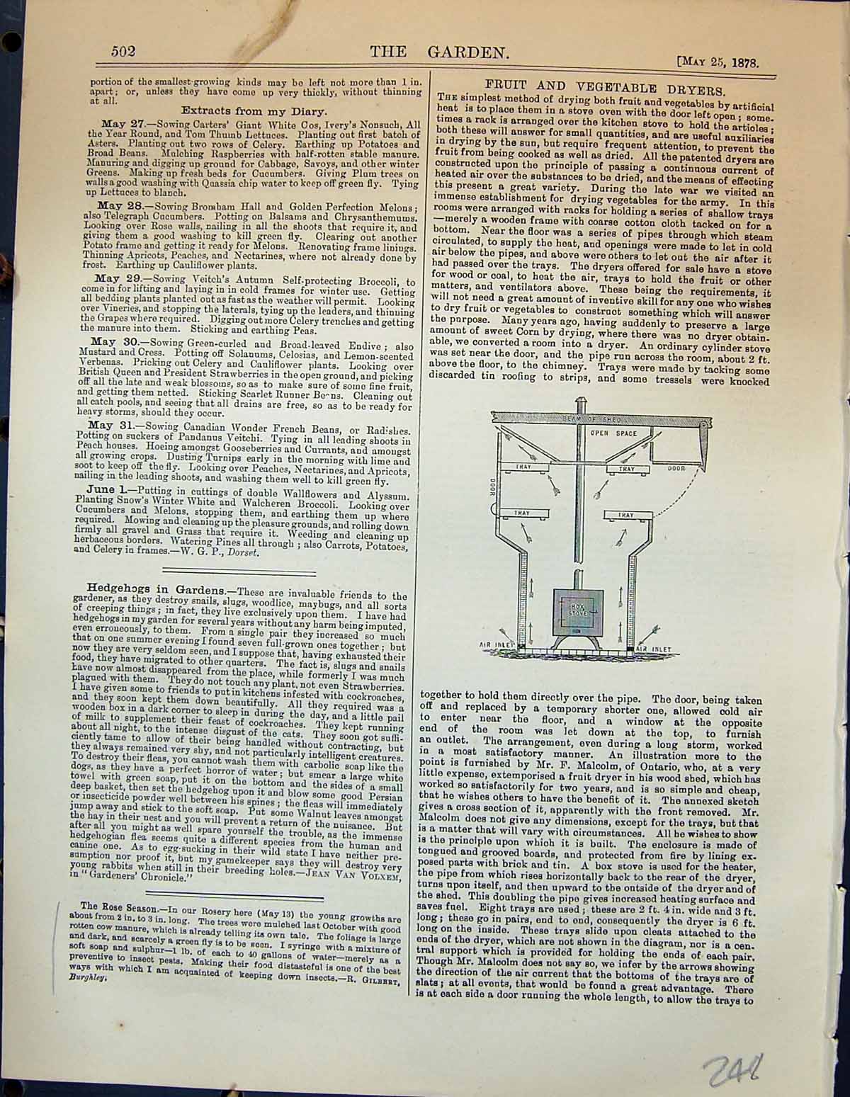 Original Old Antique Print Fruit Vegetable Dryers Garden 1878 19th