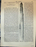 Original Old Antique Print Specimen Asparagus Gunton Park Plant Garden 1878