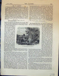 Original Old Antique Print Inner Garden Tuileries Trees Plants 1878 Victorian