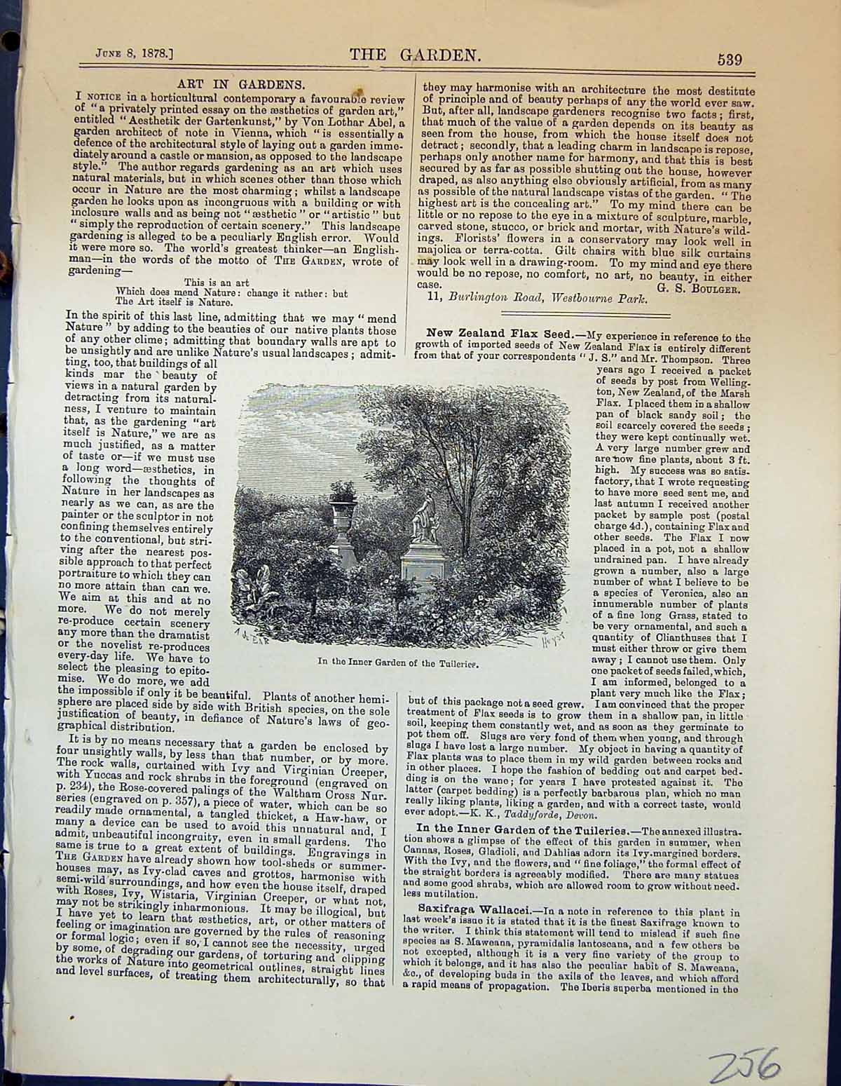 Original Old Antique Print Inner Garden Tuileries Trees Plants 1878 Victorian