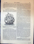 Original Old Antique Print Mammillaria Elephantidens Plants Flowers Garden 1878