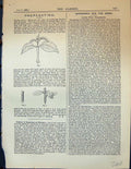 Original Old Antique Print Propagating Azalea Indica Plants Leaves Garden 1878