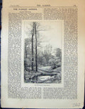 Original Old Antique Print Flower Wild Garden 1878 River Scene Trees Victorian