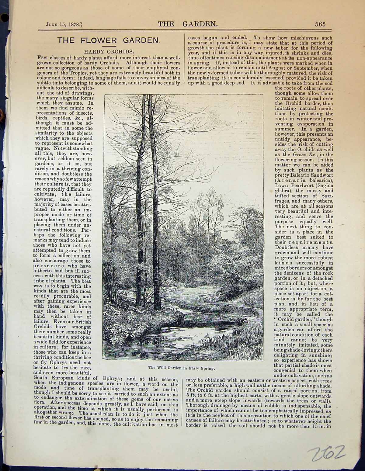 Original Old Antique Print Flower Wild Garden 1878 River Scene Trees Victorian