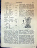 Original Old Antique Print Flowers Plants Aquilegia Chrysantha Garden 1878 19th