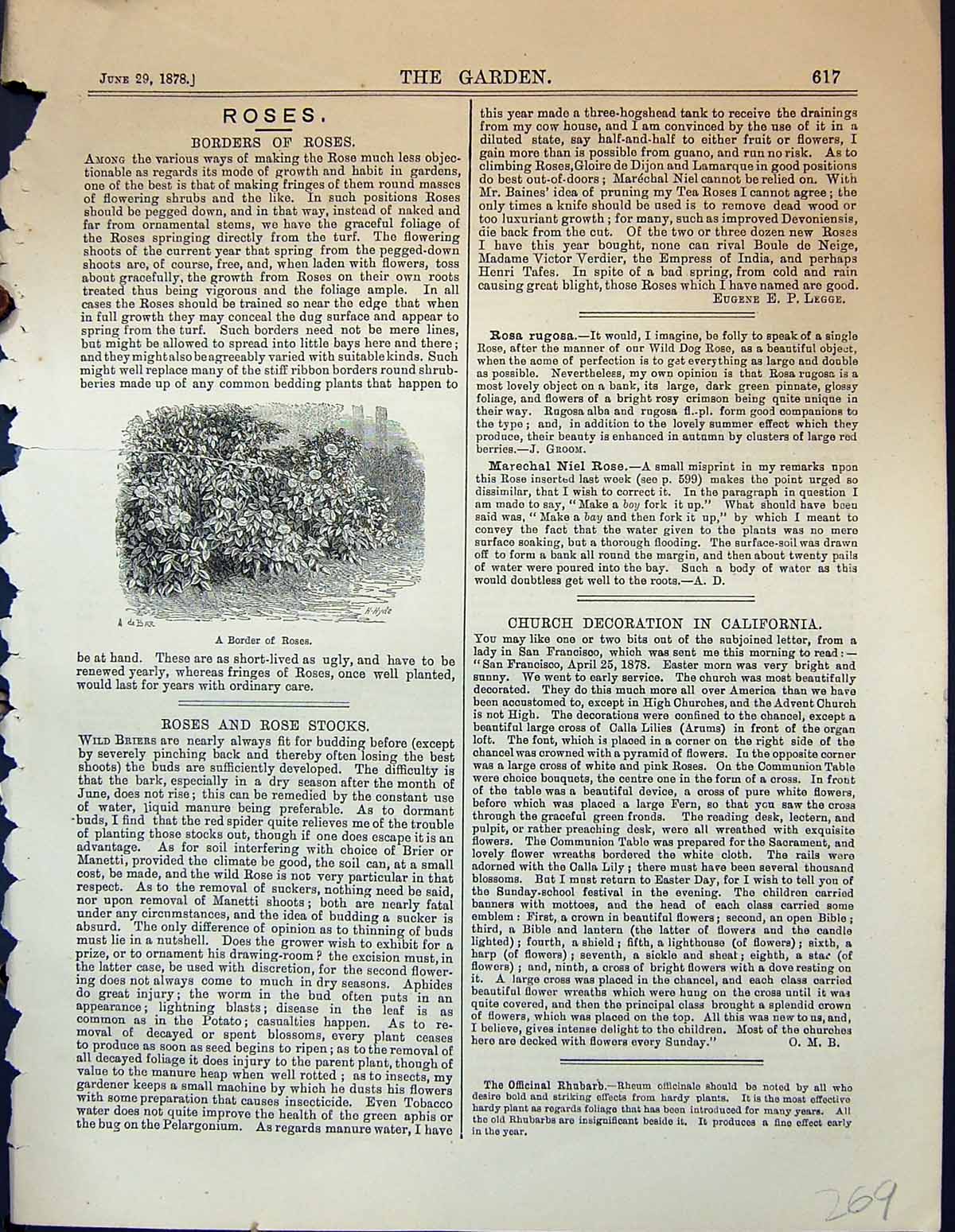 Original Old Antique Print Border Roses Flowers Garden 1878 19th