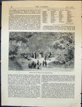Old Garden 1878 Playing Corner Children Square Montrouge Geranium Hae 19th