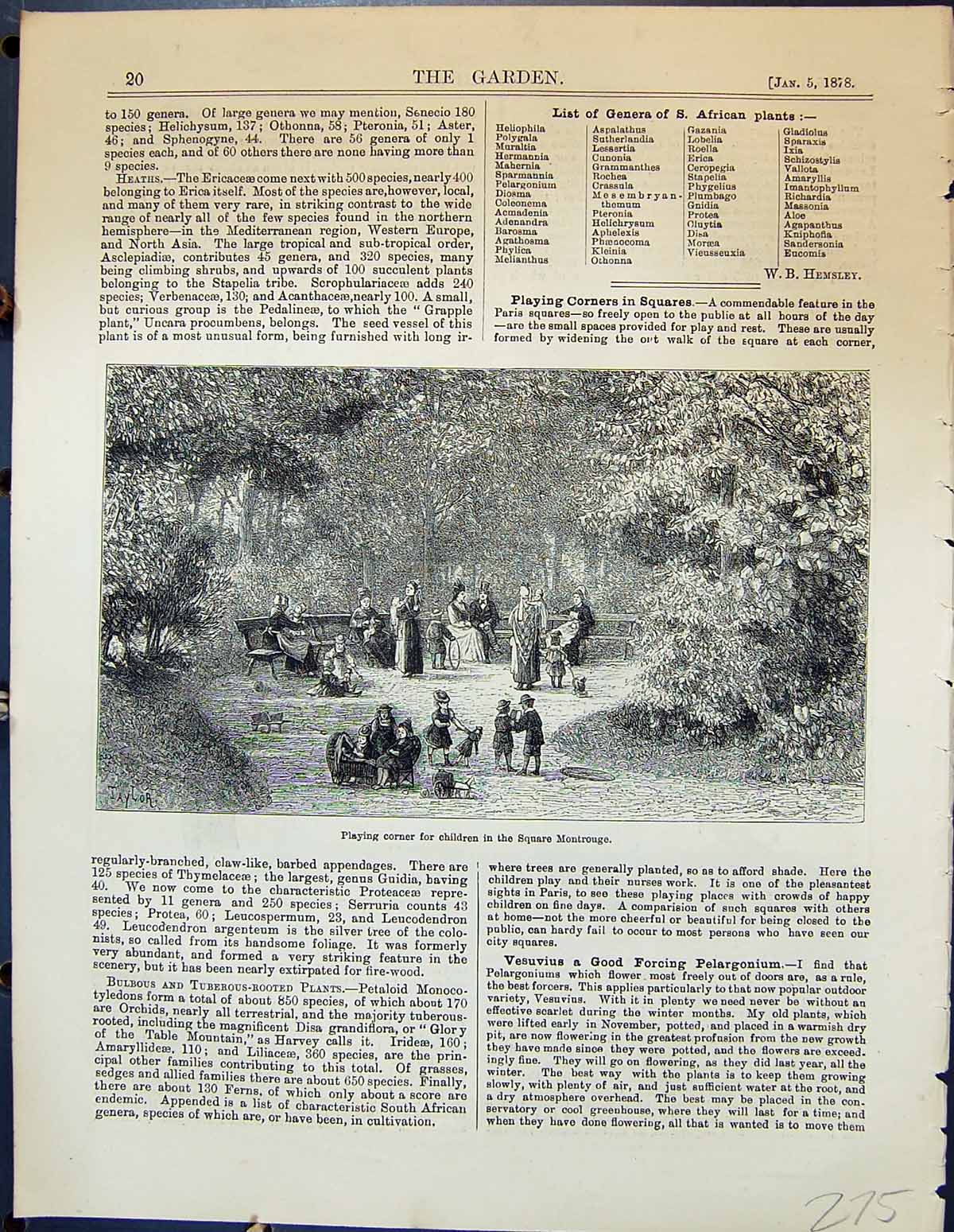 Old Garden 1878 Playing Corner Children Square Montrouge Geranium Hae 19th