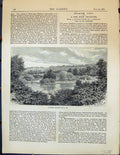 Old Print Garden Cemetery 1878 Trees Plants Ferns Philodendrons Orchids 19th