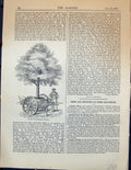 Old Antique Print M'Nab Transplanting Machine Trees Levers Garden 1878 19th