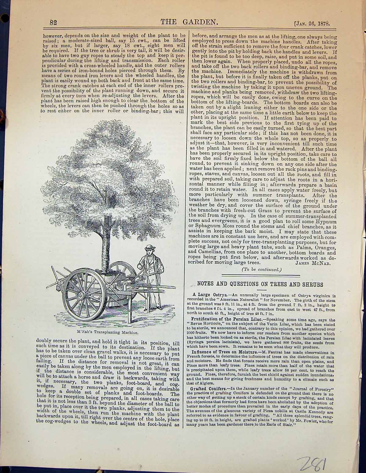 Old Antique Print M'Nab Transplanting Machine Trees Levers Garden 1878 19th