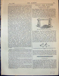 Old Garden 1878 Transplanting Trees High Tressels Movable Cradles Win 19th