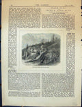 Original Old Antique Print Rocks Ivy Briers Mount Atlas Nut Garden 1878 Plants