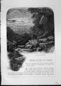 Original Old Antique Print View Forest Fontainebleau Deer France Furber 1882