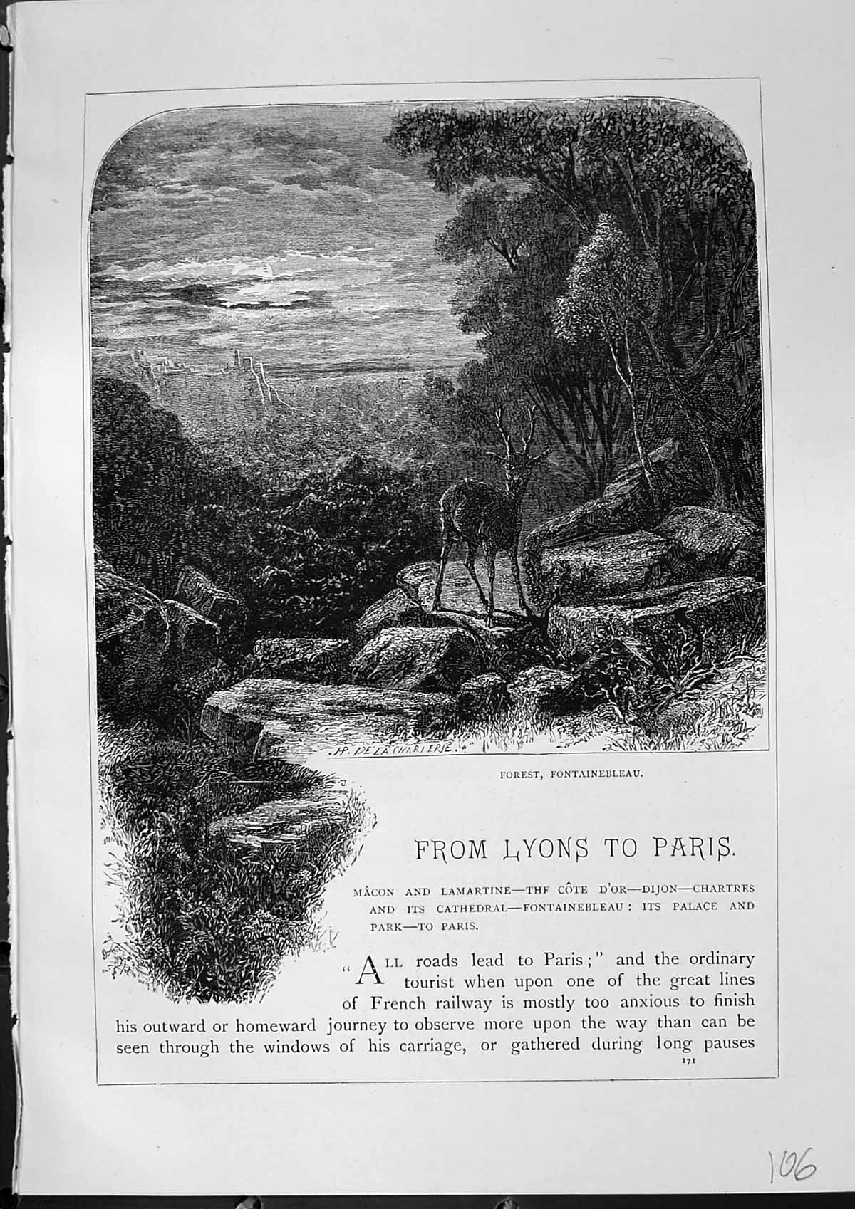 Original Old Antique Print View Forest Fontainebleau Deer France Furber 1882