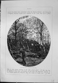 Antique Old Print Woodland Scene Banks River Loire France Trees Furber 1882