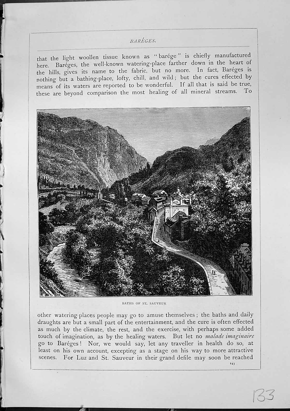Original Old Antique Print View Baths St. Sauveur Mountains Houses Furber 1882