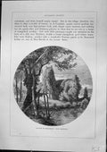 Original Old Antique Print Furber 1882 Church Criqueboeuf Honfleur River Trees