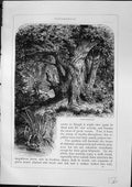 Original Old Antique Print View Fontainebleau Parterre France Furber 1882 19th