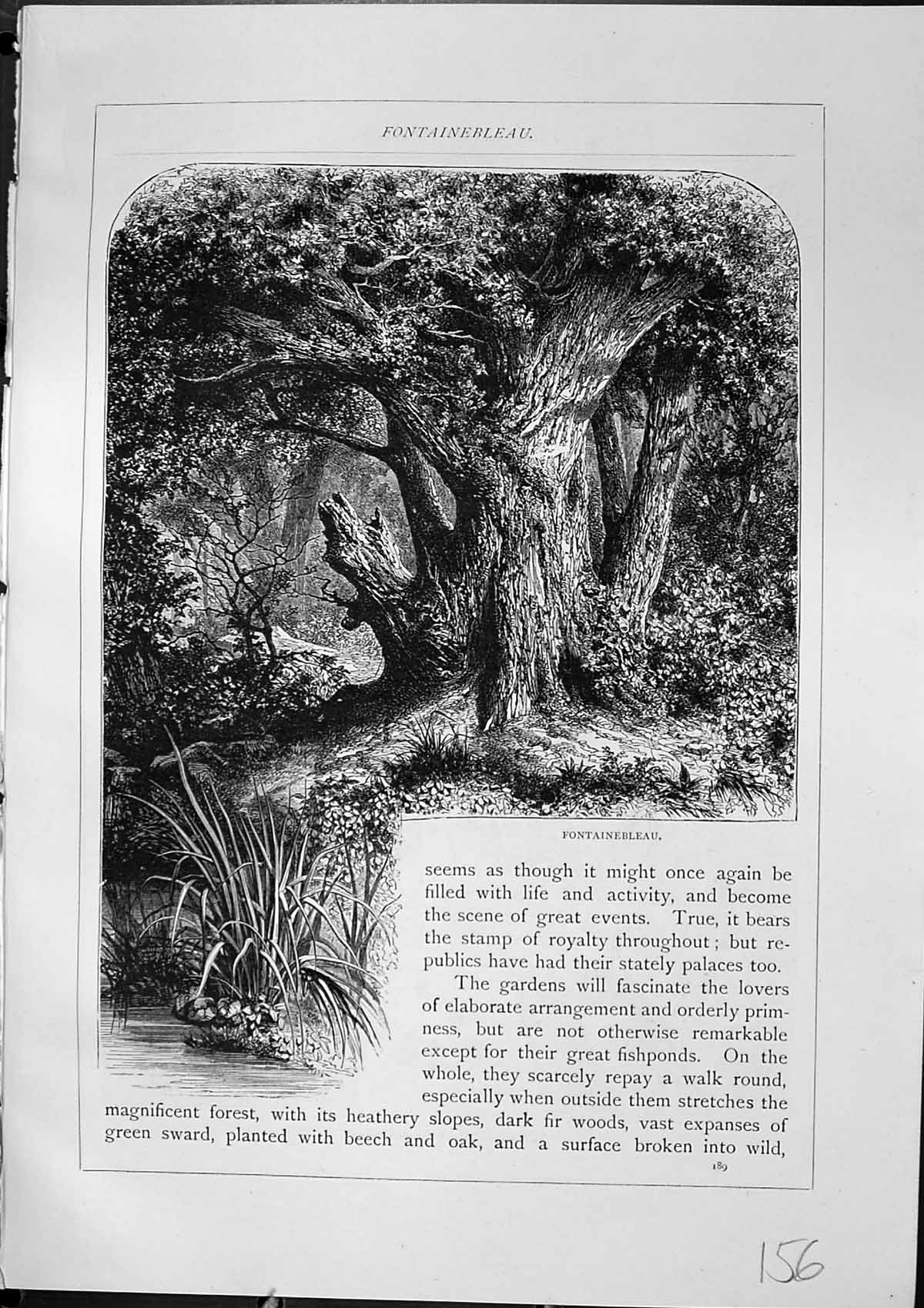 Original Old Antique Print View Fontainebleau Parterre France Furber 1882 19th