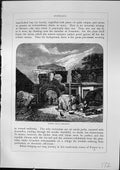 Antique Old Print Roman Circus Bordeaux Peasant Landes France Furber 1882 19th