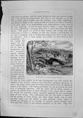 Old Fountain St. Allyre Clermont Ferrand Geological Map Furber 1882Victorian