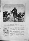 Old Print Women Gathering Shells Beach Cliffs Dieppe France Furber 1882 19th