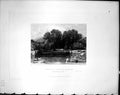 Old Fountain Jericho Ribhah Elisah Finden 1836 Horne Bible Illustrati 19th