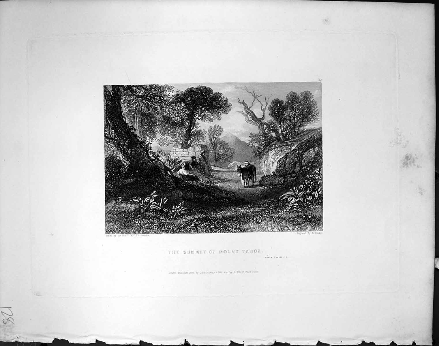 Old Summit Mount Tabor Trees Animals Finden 1836 Horne Bible Illustra 19th