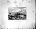 Old Mountains View Cedars Lebanon 1836 Horne Bible Illustration Finde 19th