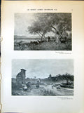 Old Print Land Olives Waterlow Bavaria Sheep William Allan Hill 1903 Art 20th