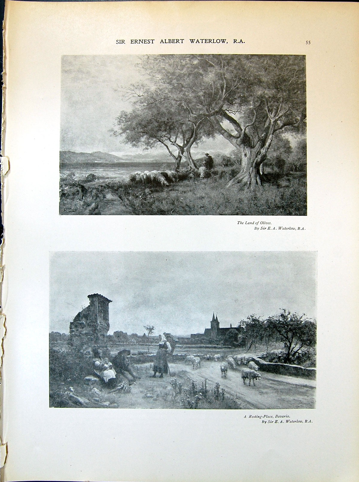 Old Print Land Olives Waterlow Bavaria Sheep William Allan Hill 1903 Art 20th