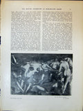 Old Nine Muses Olympus Nude People Tintoretto River Bank Cows Brown