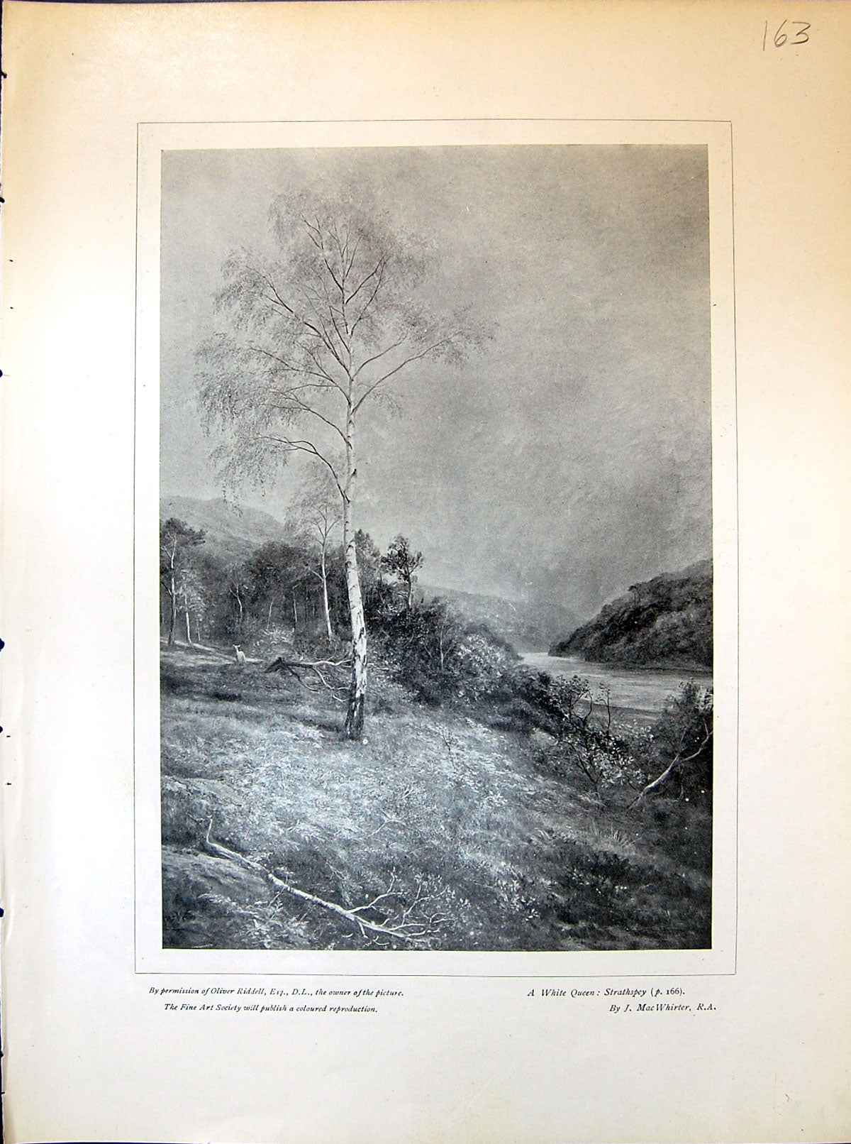 Old Print White Queen Strathspey Macwhirter Siers War Rainbow Wyllie 190 20th