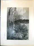 Old River Blossoms Trees Murray Portrait Imogen Boughton 1903 Art Jou 20th