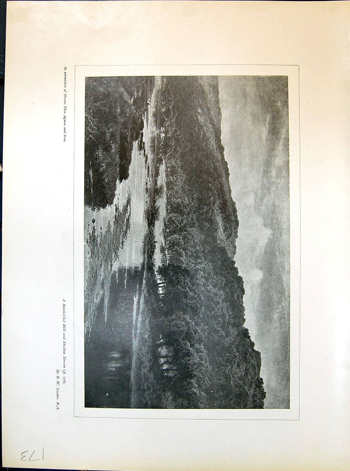 Old Trees Birch-Clad Hill Shallow Stream Leader Castle Coeur Lion 190 Victorian