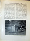 Old Cattle Pool Arnesby Brown Village Street Horses Kemp-Welch 1903 A 20th
