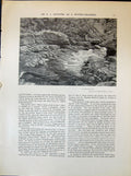 Old Dunrobin Glen Scotland Poynter Autumn Scene Hedges 1903 Art Journ 20th