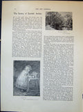 Old Silence Spring Fraser Noah'S Ark Young Girl Toys Hutchison 1903 A 20th