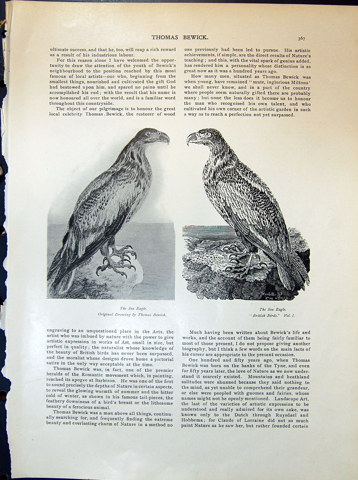 Old Sea Eagle Thomas Bewick Birds Angler Snow Man Nature 1903 Art Jou 20th