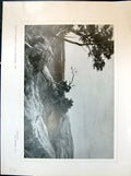Old Print Fallen Giant Tree Macwhirter May June Blossoms1903 Art Journal 20th